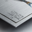 1. Starry Bodian Bodianus stellifer 2. Silver Bodian Bodianus Argenteus Metal print