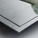 Chub Cyprinus Jeses Metal print