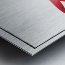 Jaguar Bodianus pentacanthus Metal print