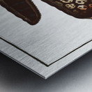 Murane Muraena Helena Metal print