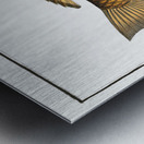 Green Parrot-fish Scarus viridis Metal print