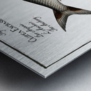 1. Schad Clupea Alosa 2. Anchovy Clupea Encrasicolus Metal print