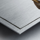 Whiting Gadus Merlangus Impression metal