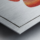 Holocentrus auratus Metal print