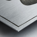 Black-Umber Sciaena nigra Metal print