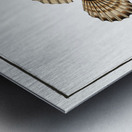 Scorpaena horrida Metal print