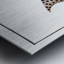 Checkred Holocentre Holocentrus tigrinus Metal print