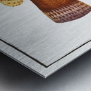 Maculated Wrasse Labrus maculatus Metal print