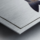 Pilchard Clupea Pilchardus Metal print