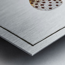 Merra Epinephelus Merra Metal print