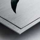 Chaetodon rhomboides Metal print