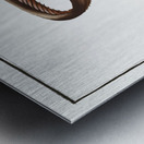 Aspread Platystacus cotylephorus Metal print