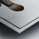 Four-eye Anableps tetrophthalmus Metal print