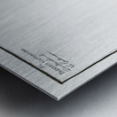 1. Butterfly-fish Blennius ocellaris 2. Blennius Gattorugine Metal print