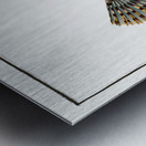 Father Lascher Cottus Scorpius Metal print