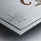 1. 2. Sea Dragon Pegasus Draconis 3. Sea-Horse Syngnathus Hippocampus 4. Sea-Pipe Syngnathus Pelagicus Metal print