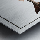 Grey Gurnard Trigla Gurnardus Metal print