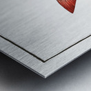 Sparus Brama Metal print