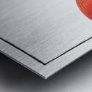 Bodianus Aya Metal print