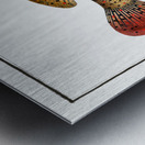 Punctulated Holocentre Holocentrus punctatus Metal print