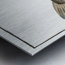 Picke-Perch Perca Lucioperca Metal print