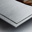 Salveling Salmo Salvelinus Metal print