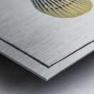 Great-scaled Umber Sciaena macrollpidota Metal print