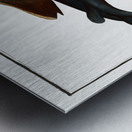 Angel FIsh Squalus Squatina Metal print