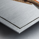 Viviparous Blenny Blennius Viviparus Metal print