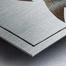 Goldlin Sparus Salpa Metal print