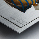 1. Chaetodon octofasciatus 2. Chaetodon annularis Metal print