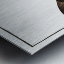 Horned Silure Silurus militaris Metal print