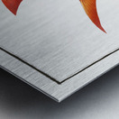 Welshman Holocentrus Sogo Metal print