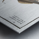 1. Little Old-Wife Balistes Tomentosus 2. Short-nosed tripod fish Balistes biaculeatus Metal print