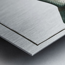 Vimba Cyprinus Vimba Metal print