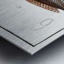 1. Rainbow-fish Labrus Julis 2. Dropped Wrasse Labrus Guttatus Metal print