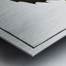 Flying-Fish Trigla volitans Metal print