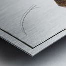 Mingo Balistes Monoceros Metal print