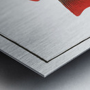 Five-striped Holocentre Holocentrus quinquelineatus Metal print