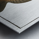 Sun-fish Diodon Mola Metal print