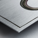 Eel Muraena Anguilla Metal print