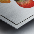 Johns Grunt Anthias Johnii Metal print