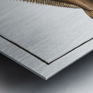 Sole Pleuronectes Solea Metal print