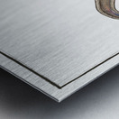 Conger Muraena Conger Metal print