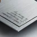 1. Silver-striped Herring Clupea atherinoides 2. Herring-Carp Cyprinus clupeoides Metal print