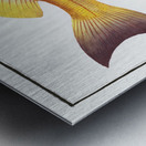 Goggle-eyed Grunt Anthias macrophthalmus Metal print