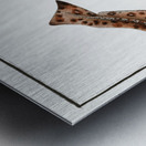 Bounce Squalus Canicula Metal print