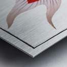 Telescope Cyprinus macrophthalmus Metal print