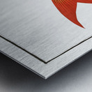 Red-tailed Gilt-head Sparus Erythrourus Metal print