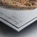 Argus-Flounder Pleuronectes Argus Metal print